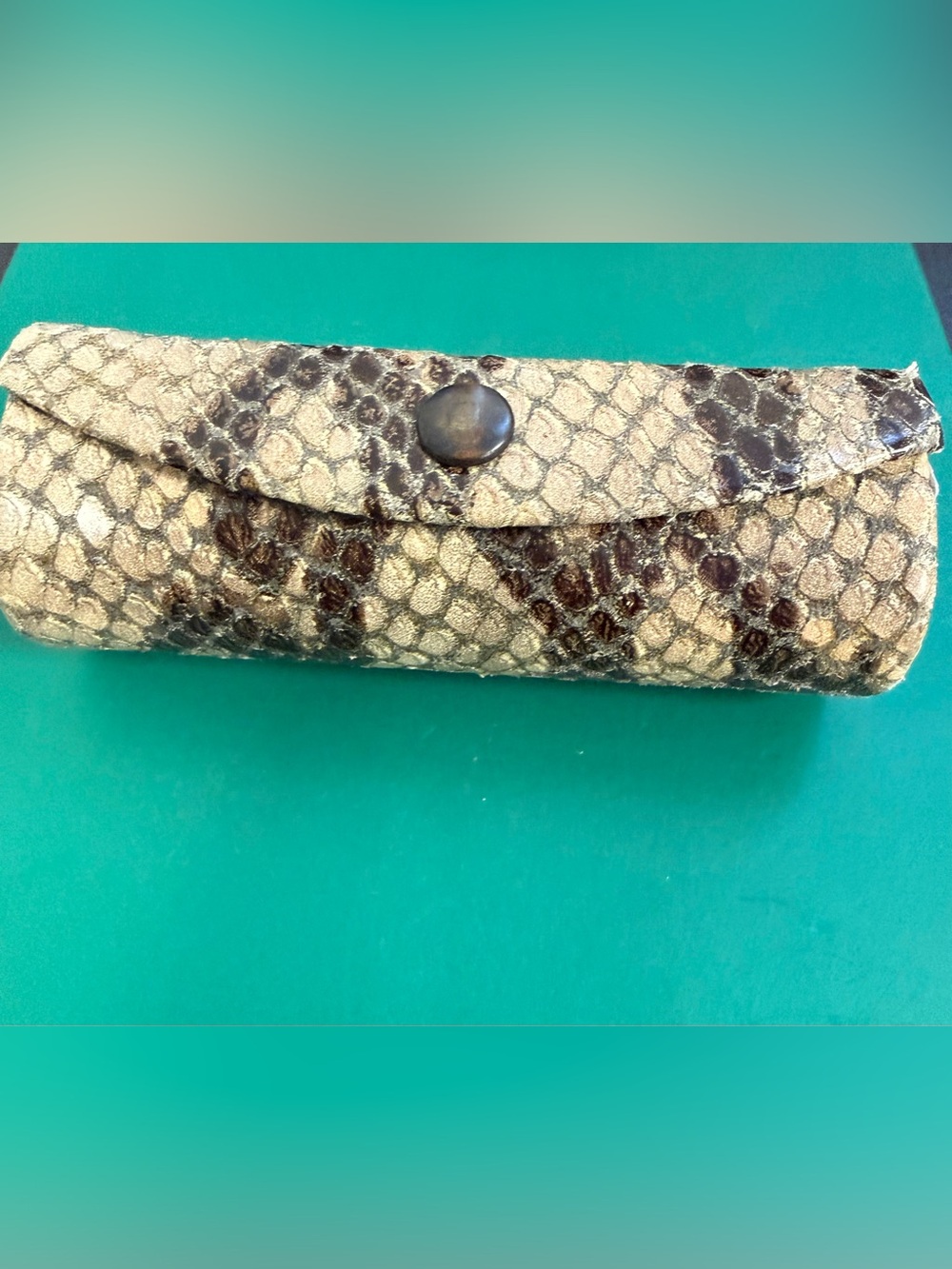Vintage Snakeskin Lipstick Case in Beige and Brown-Italy